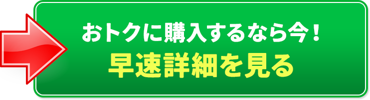 お得に購入するなら今！早速詳細を見る