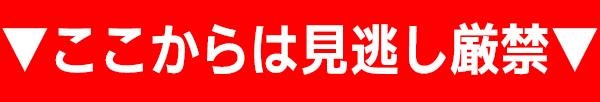 ここからは見逃し厳禁
